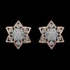 rose gold earrings with spectacular golden outline
