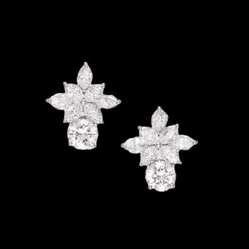 Sparkle with Elegance: Introducing Our...