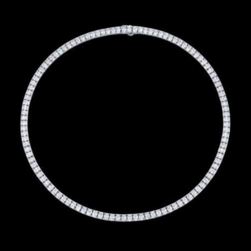 “Radiant Rows: The Stunning...