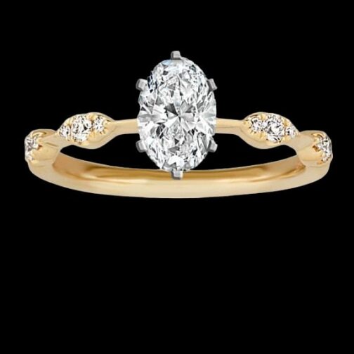 Timeless Treasure: The Allure of...