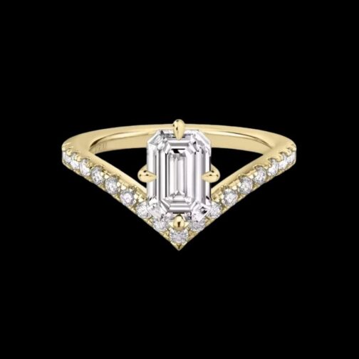 Modern Majesty: Redefine Elegance with...