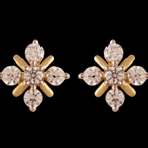 Shine Bright: Your Daily Delight