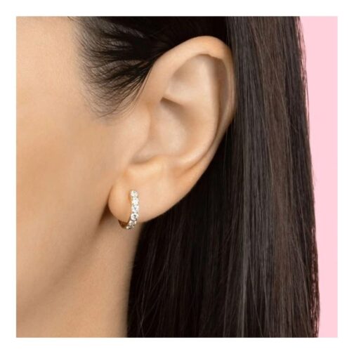 Charm Circle Earrings