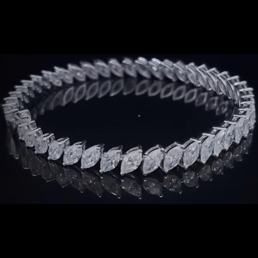 “Wings of Light”